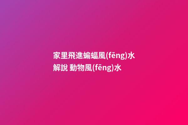 家里飛進蝙蝠風(fēng)水解說 動物風(fēng)水